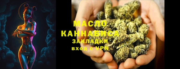молекула духа Горнозаводск