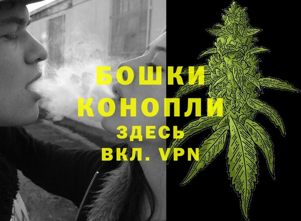 молекула духа Горнозаводск