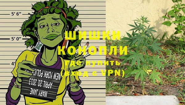 Альфа ПВП Горно-Алтайск