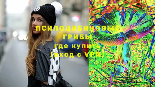 Альфа ПВП Горно-Алтайск