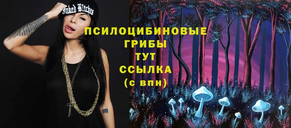 молекула духа Горнозаводск