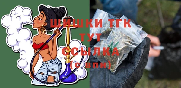 молекула духа Горнозаводск