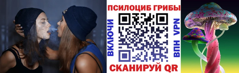 Псилоцибиновые грибы мухоморы  Купить закладки  Кириши 
